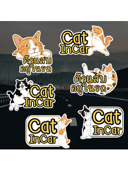 สติ๊กเกอร์ Cat in Car ในรถมีแมว ใหม่ล่าสุด 2023