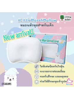 (13339) Little Eden หมอนหลุมสำหรับเด็ก 0-12 เดือน