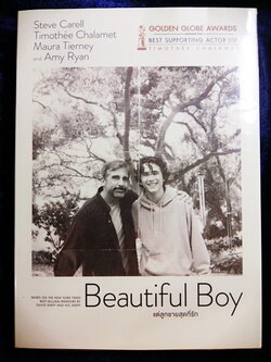 (DVD) Beautiful Boy (2018) แด่ลูกชายสุดที่รัก (มีพากย์ไทย)