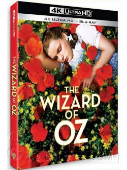 (4K+Blu-Ray) The Wizard of Oz (1939) พ่อมดแห่งเมืองออซ (มีพากย์ไทย)