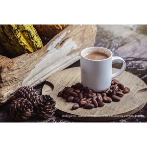 โกโก้ ลดน้ำหนัก