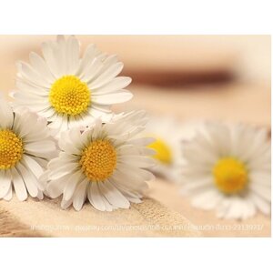 ผลิตภัณฑ์ดูแลช่องปาก