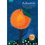 ต้นส้มแสนรัก (My Sweet Orange Tree)