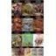 ล่องไพร (ครบชุด 14 เล่ม)
