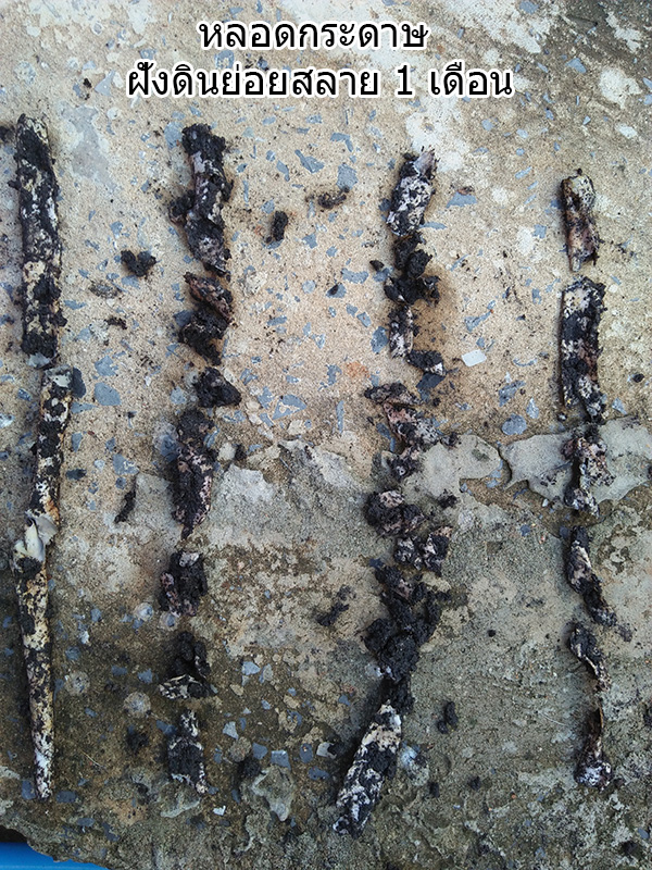 หลอดกระดาษ ย่อยสลายได้