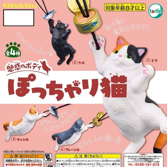 กาชาปองมาสคอทน้องแมว Fascinating Body Chubby Cat