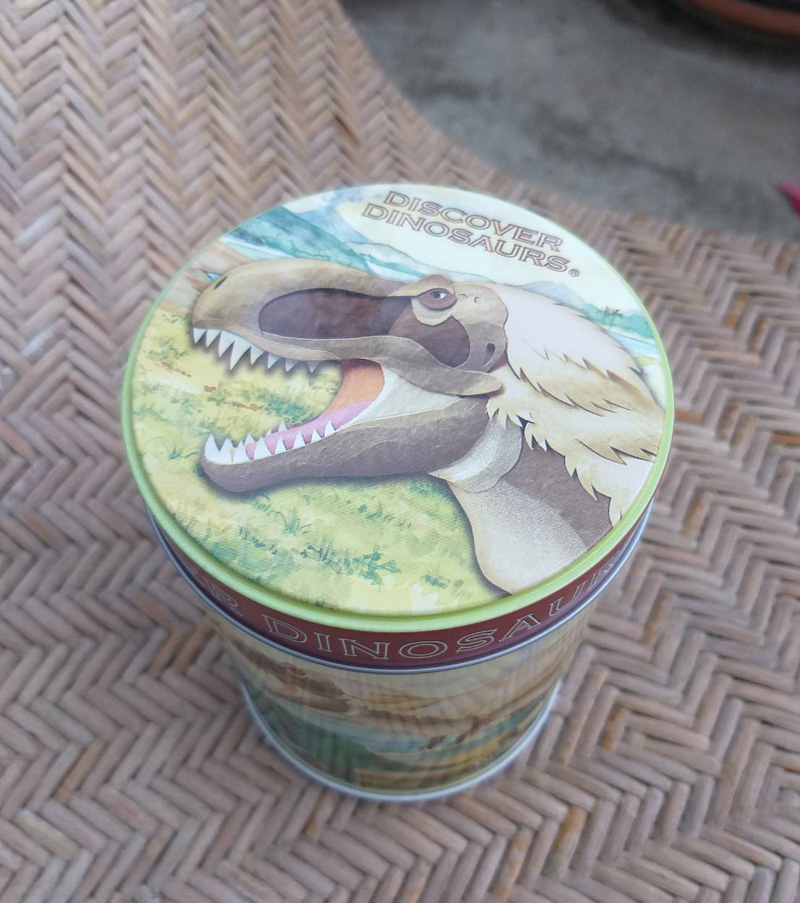 กระป๋องเอนกประสงค์ DINOSAURS (ของใหม่)