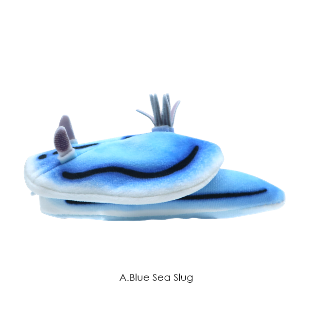กาชาปองตุ๊กตาทากทะเล Sea Slug Plush Toy 2