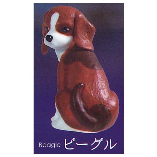 กาชาปองฟิกเกอร์น้องหมาหันมามอง