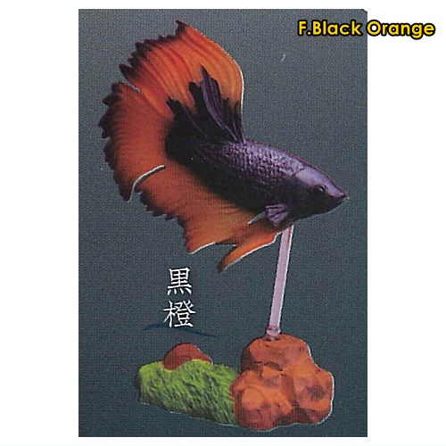 กาชาปองฟิกเกอร์ปลากัด Fighting Fish ~Betta~ 2