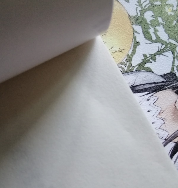 บิเบลีย บันทึกไขปริศนาแห่งร้านหนังสือ เล่ม 8 (มีตำหนิ โปรดอ่านรายละเอียด)