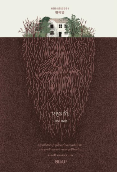 หลุมลับ (홀) (The Hole)