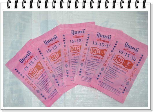 ถุงข้าวสาร,ถุง LLDPE, ถุงพลาสติก