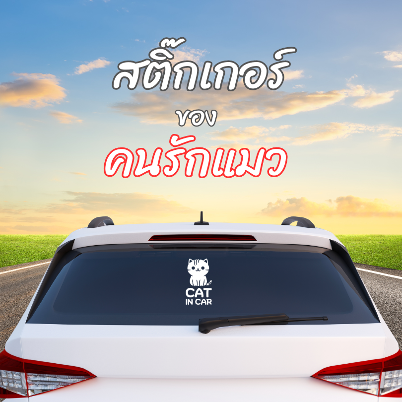 สติ๊กเกอร์ Cat in Car ในรถมีแมว PVC OUTDOOR กันน้ำ ไดคัทสีขาว น่ารัก