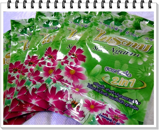 ถุงข้าวสาร,ถุง LLDPE, ถุงพลาสติก