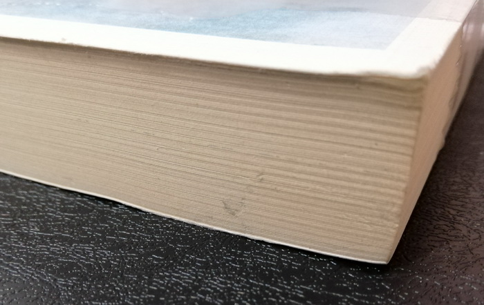 ภาพชีวิตที่เขียนด้วยน้ำตา