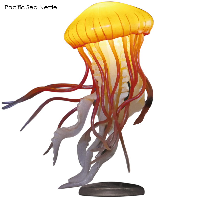 กาชาปองฟิกเกอร์แมงกะพรุน Jellyfish LED Light Collection 2