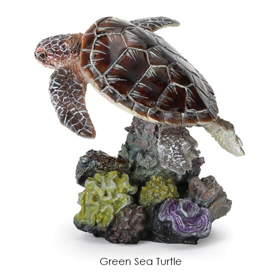 กาชาปองฟิกเกอร์สัตว์ทะเล Mini Collection of the Great Creature Encyclopedia: Coral Reef Creatures