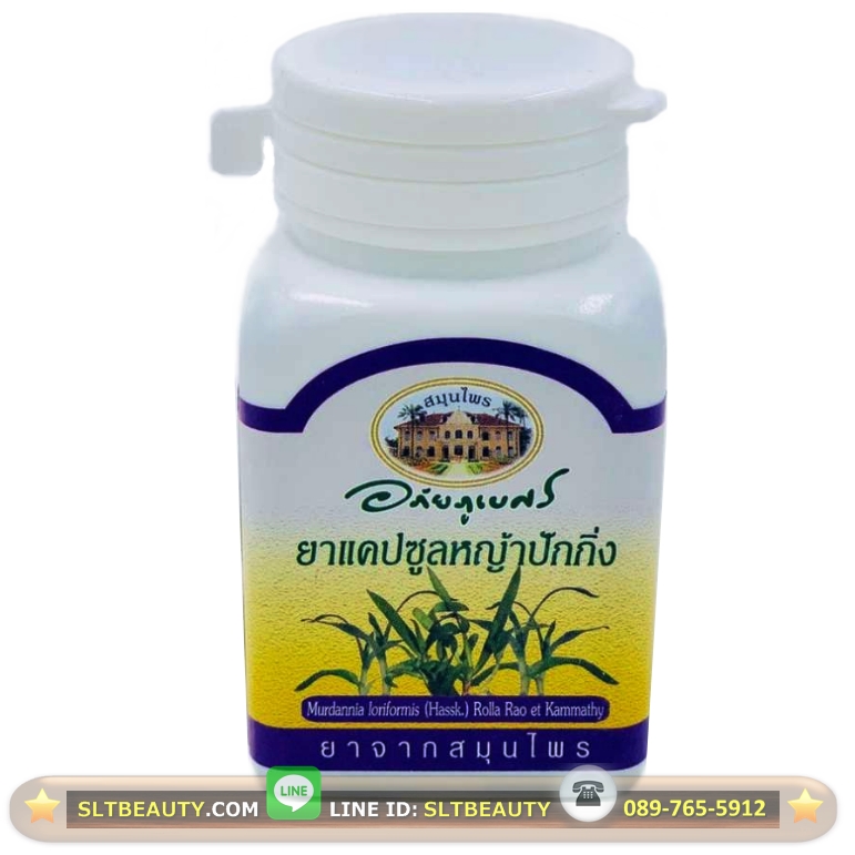 หญ้าปักกิ่ง (อภัยภูเบศร) ขนาด 70 แคปซูล ►เสริมภูมิต้านทาน ลดไข้ ลดความดัน บำรุงหัวใจ แก้ร้อนใน แก้น้ำเหลืองเสีย แก้ไมเกรน ต้านมะเร็ง ลดผลข้างเคียงคีโม