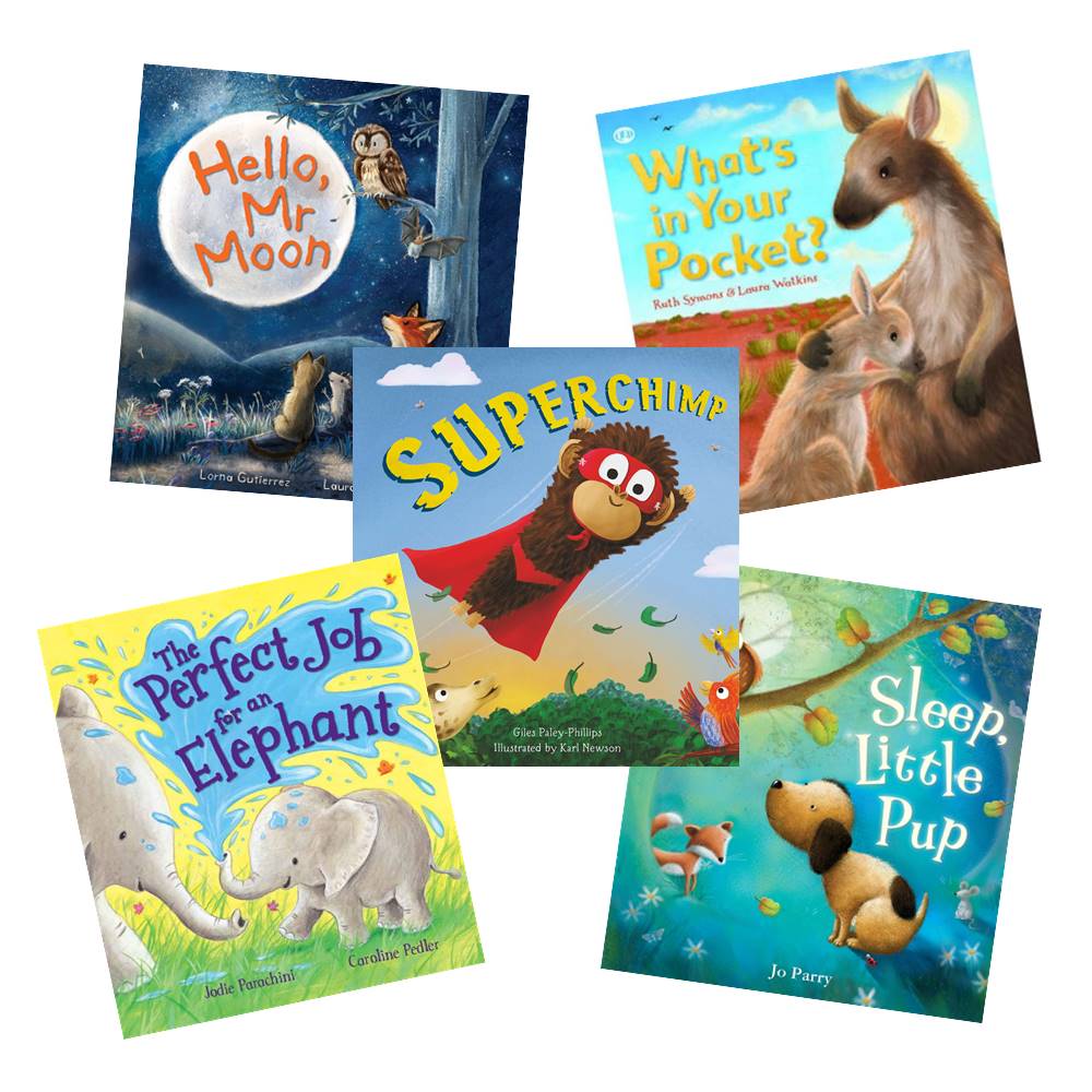 QED 5 Book Collection : Super Chimp, What's in your pocket?, Sleep little pup, Hello Mr. Moon, The perfect job for an elephant เซตนิทานภาพ 5 เล่ม