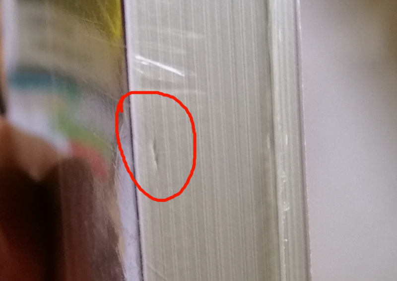 ดัชเชสแห่งถนนบลูมสบรี (มีตำหนิ โปรดอ่านรายละเอียด) (The Duchess of Bloomsbury Street)