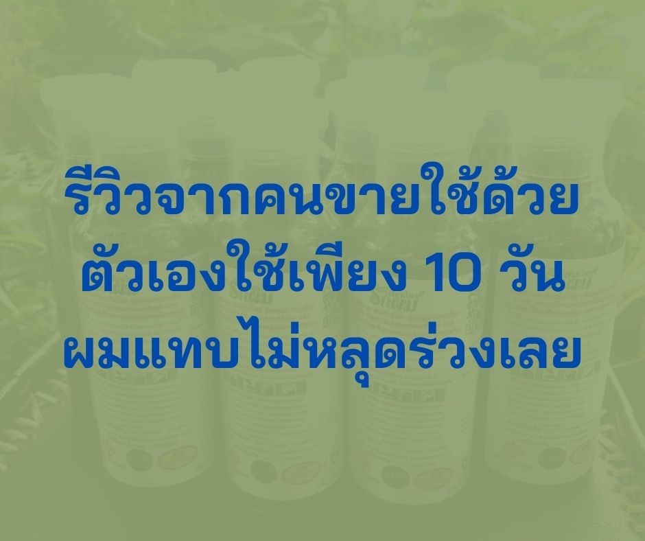แชมพูสมุนไพรรักผม 250ml x 3 ขวด ยาสระผมแก้รังแคเชื้อรา แก้ผมร่วง แก้ปัญหาผมมัน ผมคัน ชะลอผมหงอก ช่วยให้ผมเกิดใหม่ ไม่ต้องใช้ครีมนวดผม อุดมด้วยสมุนไพรธรรมชาติถึง 9 ชนิด ใช้ได้ทุกวัย สระได้ทุกวัน ปราศจากสารเคมีที่เป็นอันตราย