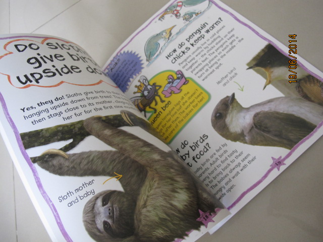 Miles Kelly : First Questions And Answers - Why do fawns have spots? หนังสือคำถามแรกและคำตอบ - ทำไมกวางน้อยจึงมีจุด