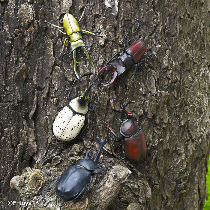 ฟิกเกอร์แมลง Insect Hunter 2024