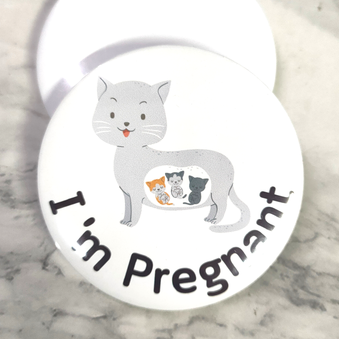 เข็มกลัดคนท้อง เข็มกลัดเตือนว่าท้อง ให้เดินอย่างระวัง