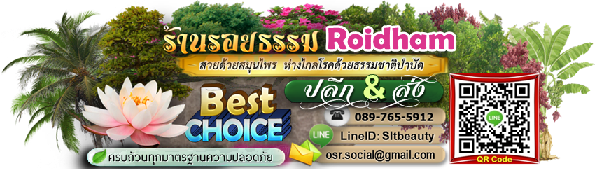 รอยธรรม
