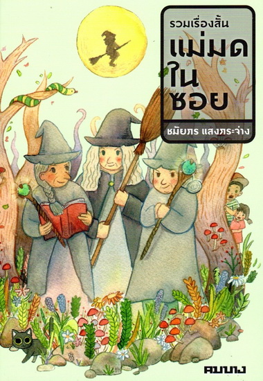 แม่มดในซอย (รวมเรื่องสั้น)