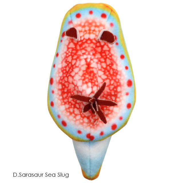 กาชาปองตุ๊กตาทากทะเล Sea Slug Plush Toy 2