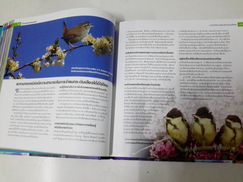 1001 คำถาม วิทยาศาสตร์ฉลาดตอบ (ปกแข็ง) (1001 Science Questions Answered)