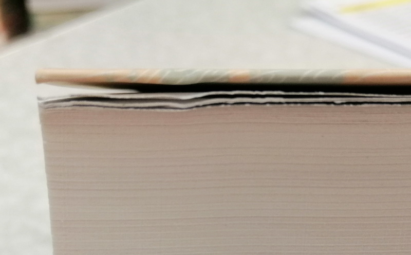 เงาสีขาว (ปกอ่อน) (แดนอรัญ แสงทอง) (มีตำหนิ โปรดอ่านรายละเอียด)