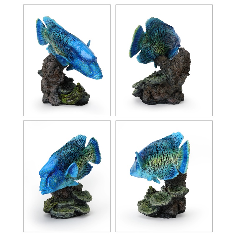 กาชาปองฟิกเกอร์สัตว์ทะเล Mini Collection of the Great Creature Encyclopedia: Coral Reef Creatures
