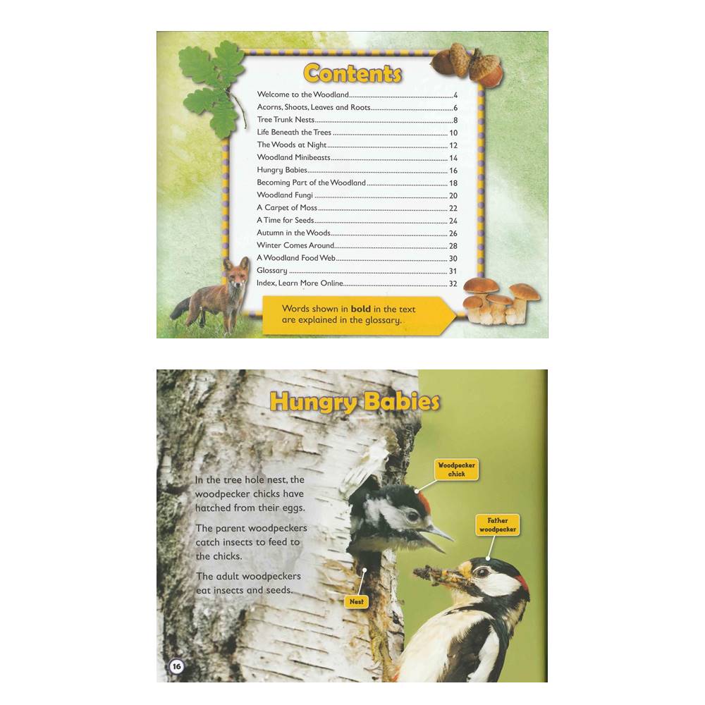 Ruth Owen : Living Things and Their Habitats : 4 Book Collection : Welcome to The Garden + The Pond + The Rock Pool + The Woodland เซตหนังสือส่งเสริมความรู้เกี่ยวกับธรรมชาติที่อยู่อาศักย 4 เล่ม