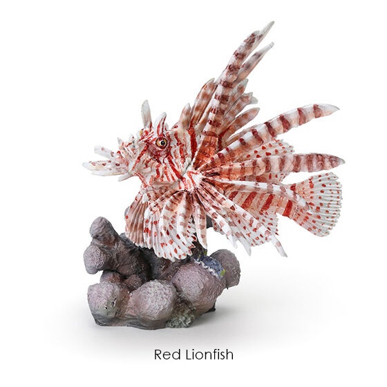 กาชาปองฟิกเกอร์สัตว์ทะเล Mini Collection of the Great Creature Encyclopedia: Coral Reef Creatures
