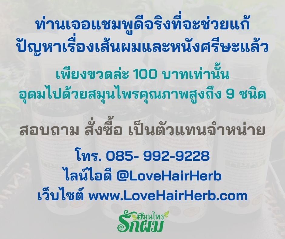 แชมพูสมุนไพรรักผม 250ml x 3 ขวด ยาสระผมแก้รังแคเชื้อรา แก้ผมร่วง แก้ปัญหาผมมัน ผมคัน ชะลอผมหงอก ช่วยให้ผมเกิดใหม่ ไม่ต้องใช้ครีมนวดผม อุดมด้วยสมุนไพรธรรมชาติถึง 9 ชนิด ใช้ได้ทุกวัย สระได้ทุกวัน ปราศจากสารเคมีที่เป็นอันตราย