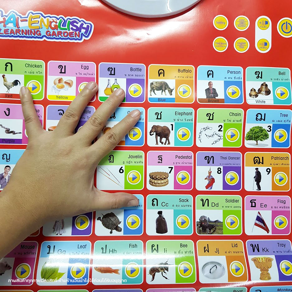 โปสเตอร์พูดได้ แผ่นอ่าน ก.ไก่ เรียนรู้ตัวอักษรไทย-อังกฤษ มีโจทย์คำถาม เพลง ด้านหลังเป็นไวท์บอร์ด แถมปากกาไวท์บอร์ด ฟรี