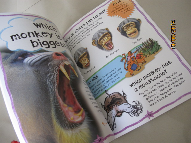 Miles Kelly : First Questions And Answers - Why do chimps kiss? หนังสือคำถามแรกและคำตอบ - ทำไมชิมแปนซีจูบกัน