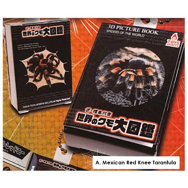 กาชาปองสารานุกรมแมงมุม Specimen included Encyclopedia of the World's Spiders Mascot