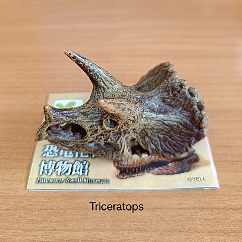 กาชาปองโมเดลซากฟอสซิล Dinosaur Fossil Museum