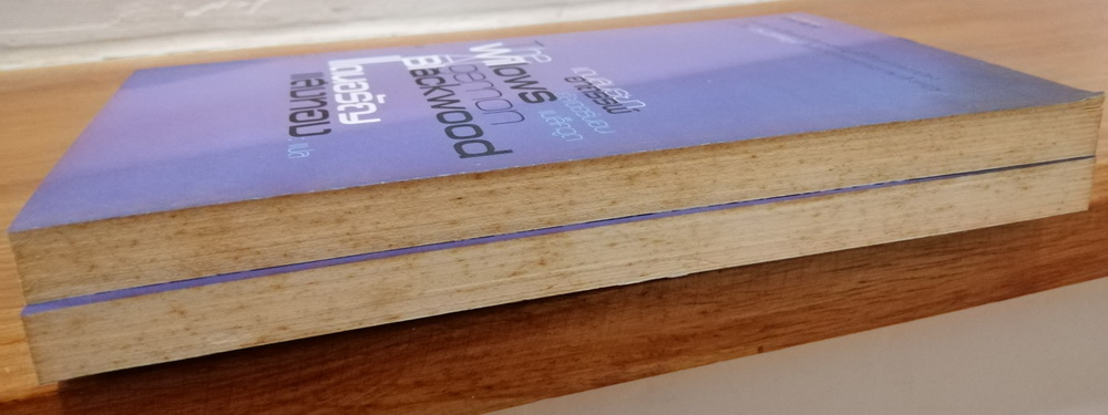 แดนสนธยาอาถรรพ์ (The Willows) (หนังสือมีตำหนิ กรุณาอ่านรายละเอียด)