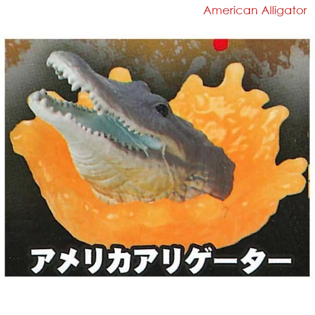 กาชาปองฟิกเกอร์ส่วนหัวจระเข้ The Scariest! Dangerous Creature Figure ~Crocodile~