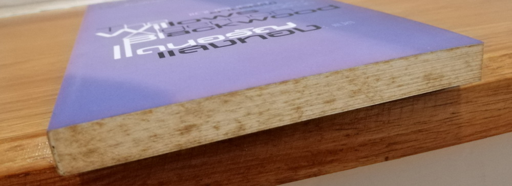 แดนสนธยาอาถรรพ์ (The Willows) (หนังสือมีตำหนิ กรุณาอ่านรายละเอียด)