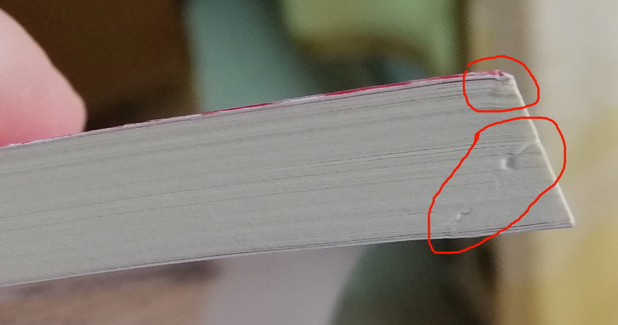 คุยกับลูกสาวเรื่องเศรษฐกิจ ประวัติศาสตร์ย่อของทุนนิยม (มีตำหนิ โปรดอ่านรายละเอียดก่อนสั่ง)