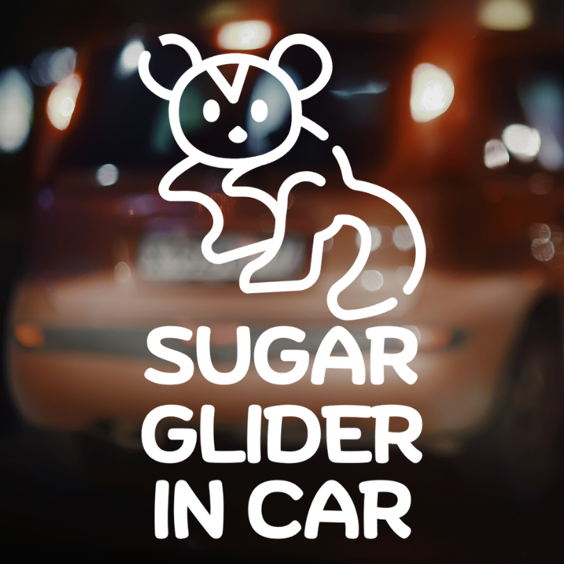 สติ๊กเกอร์ติดรถ RABBIT IN CAR ในรถมีกระต่าย นก ซูก้าไกลเดอร์