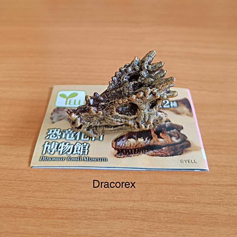 กาชาปองโมเดลซากฟอสซิล Dinosaur Fossil Museum