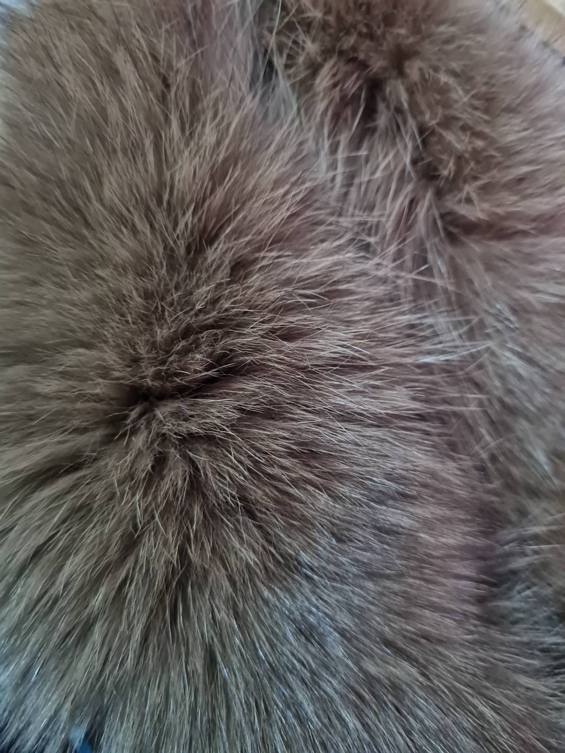 ผ้าพันคอ FUR FOX แท้ สวยน่ารักมาก