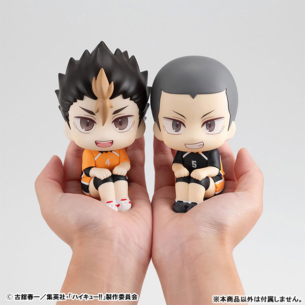 [เปิดจอง] Lookup Haikyu!! Yu Nishinoya & Ryunosuke Tanaka ได้เบาะ